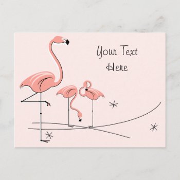 Flamingos Pink Trio 4 Text Postcard by QuirkyChic at Zazzle