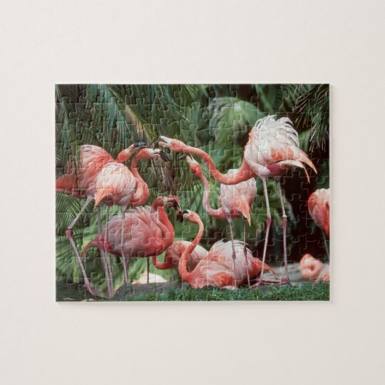 Flamingos Puzzle | Zazzle.com