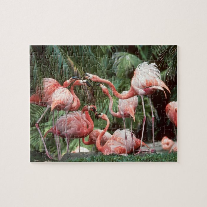 Flamingos Puzzle | Zazzle.com