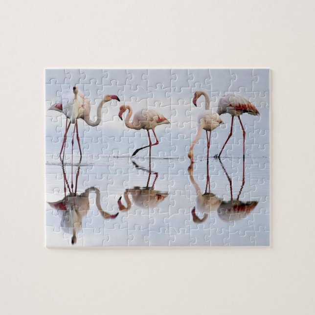 Flamingos Puzzle (Horizontal)