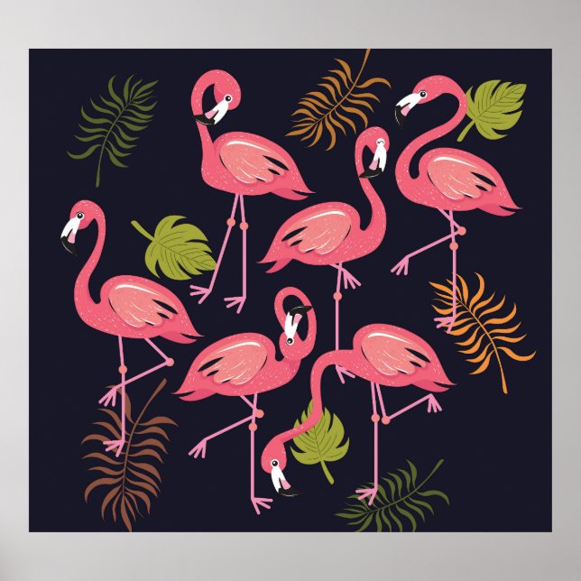 Flamingos set, tropical bird vintage. poster (Front)