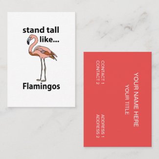 Flamingos Stand Tall Like Flamingos Flamingo