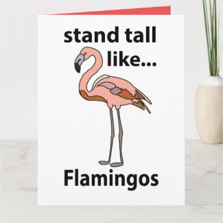 Flamingos Stand Tall Like Flamingos Flamingo