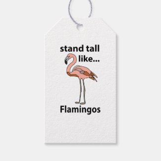 Flamingos Stand Tall Like Flamingos Flamingo