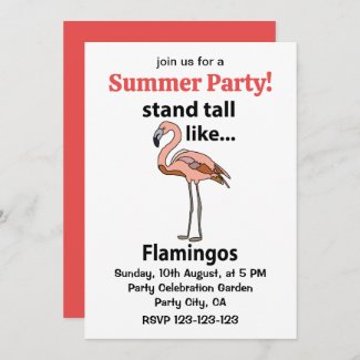 Flamingos Stand Tall Like Flamingos Flamingo