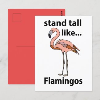 Flamingos Stand Tall Like Flamingos Flamingo