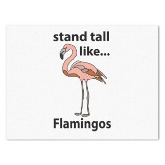 Flamingos Stand Tall Like Flamingos Flamingo