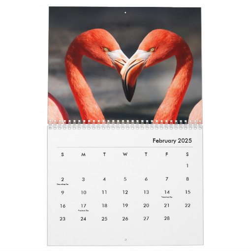Flamingos Wall Calendar Zazzle