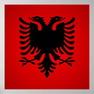 Flamuri i shqiperise poster