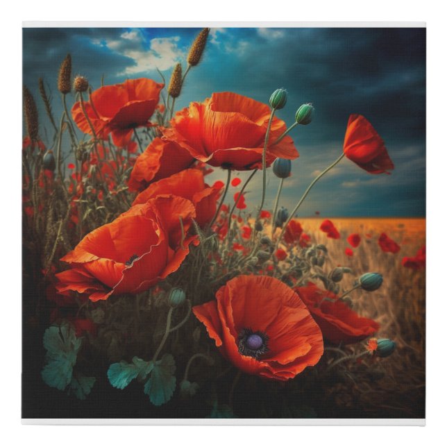 Flanders Field Poppies Faux Canvas Print (Front)