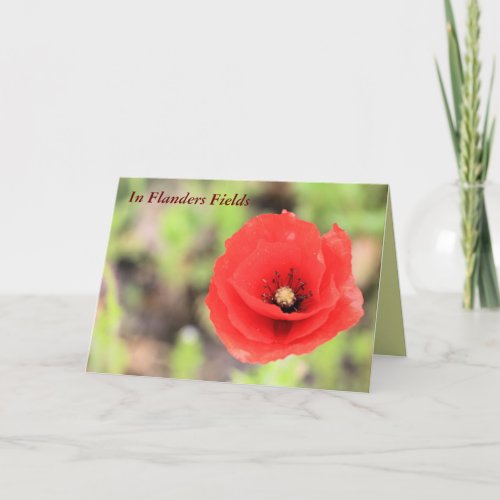 Flanders fields poppy photo and poem card