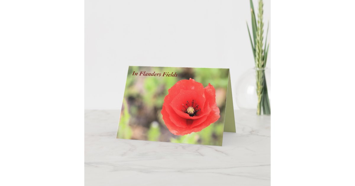 In Flanders Fields Poem Wall Art Watercolour Poppies 