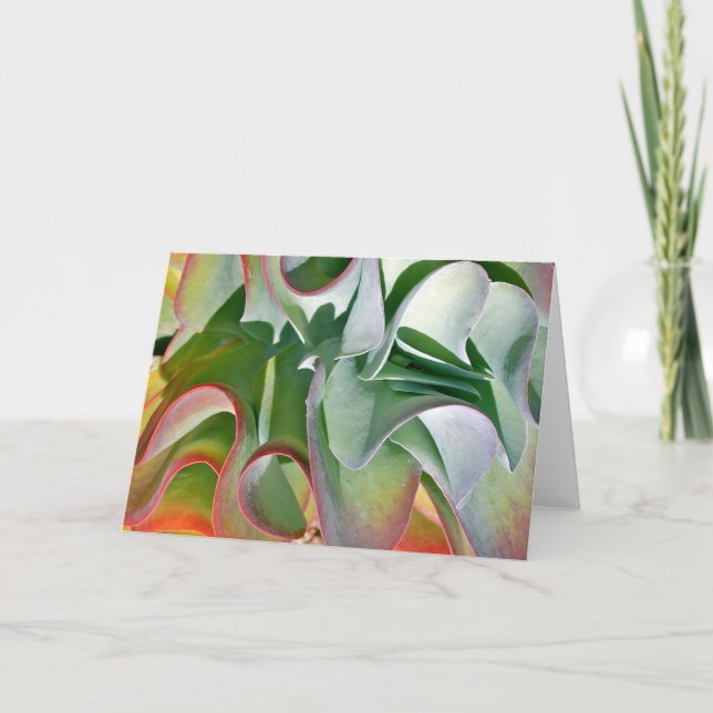 Flapjack plant note card by Debra Lee Baldwin (Front)