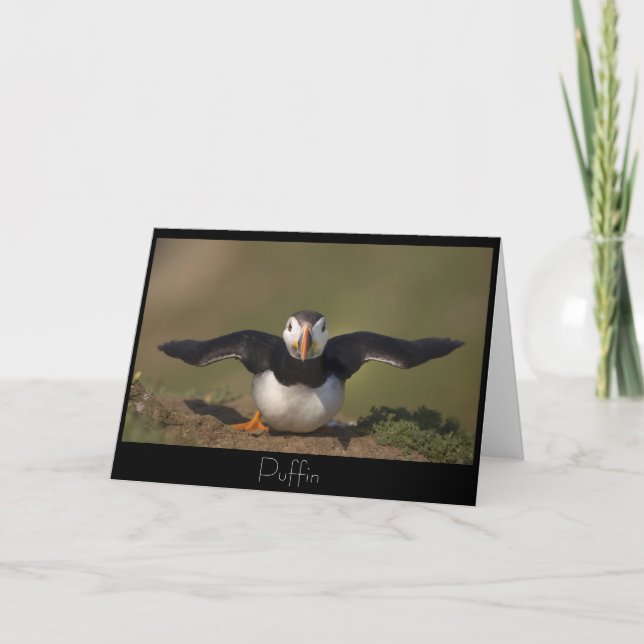Flapping Puffin Card (Front)