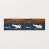 Flapping Swan (Outside Unfolded)
