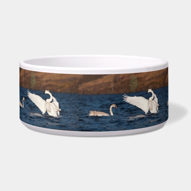 Flapping Swan Bowl (Left)