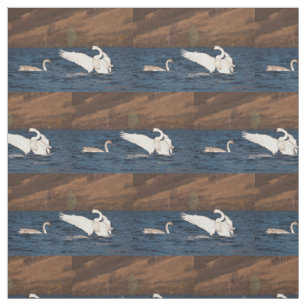 Flapping Swan Fabric