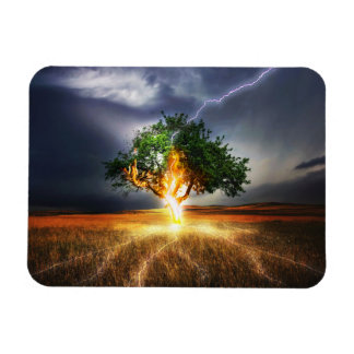 flash-845848 FANTASY LIGHTNING STRIKE TREE BACKGRO Magnet