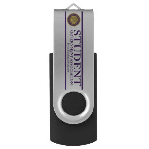 Flash Drive