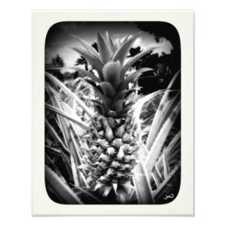 Flash Of Inspiration Photo Print