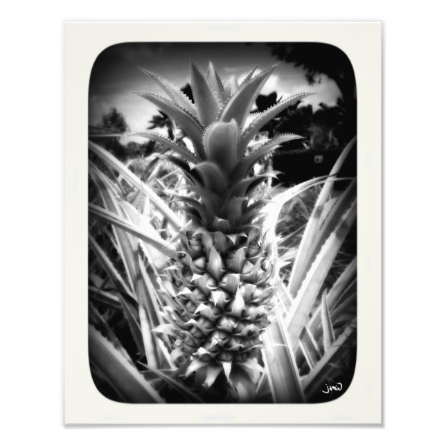 Flash Of Inspiration Photo Print (Front)