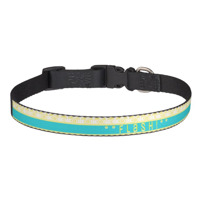 Flash The Camera Cat Pet Tag Pet Collar (Front)