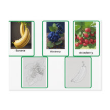 flashcards of fruit kids and adult