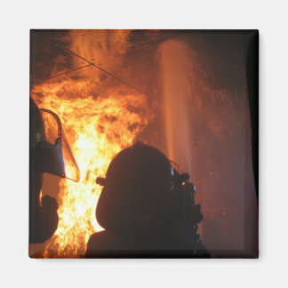 flashover magnet