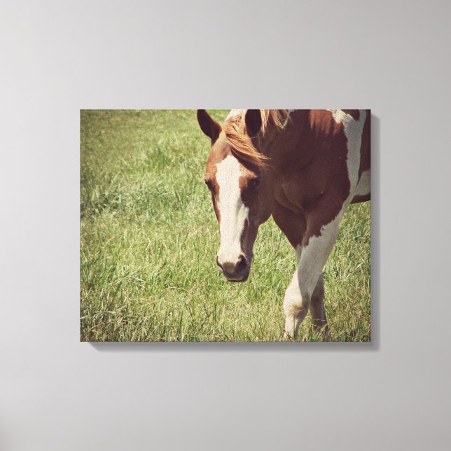 Flashy Canvas Print (Front)
