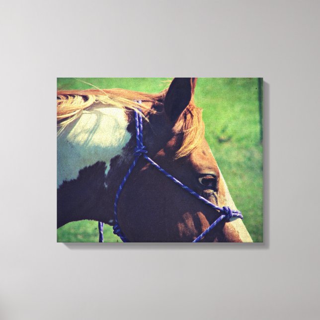 Flashy Canvas Print (Front)