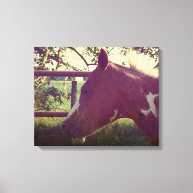 Flashy Grunge Canvas Print (Front)