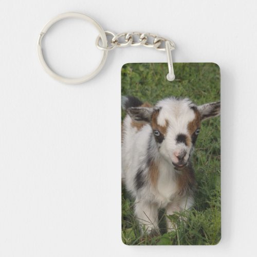 Flashy Nigerian Dwarf Dairy Goat Kid Keychain