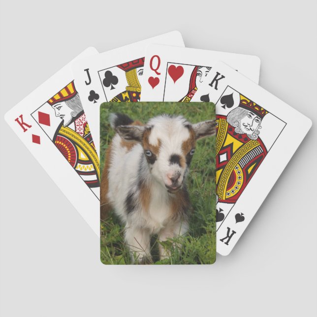 Flashy Nigerian Dwarf Dairy Goat Kid Poker Cards (Back)
