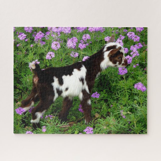 Flashy Nigerian Dwarf Goat Kid in purple flowers Jigsaw Puzzle (Horizontal)