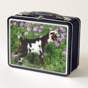 Flashy Nigerian Dwarf Goat Kid in purple flowers Metal Lunch Box