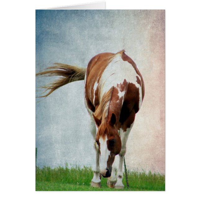 Flashy Paint Horse Mare Cards (Front)