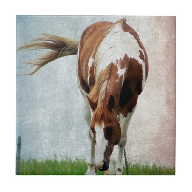 Flashy Paint Horse Mare Tile (Front)