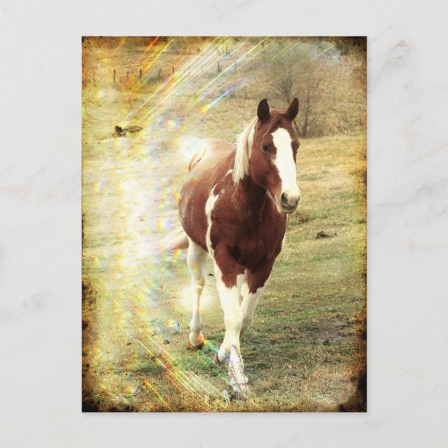 Flashy Postcard (Front)