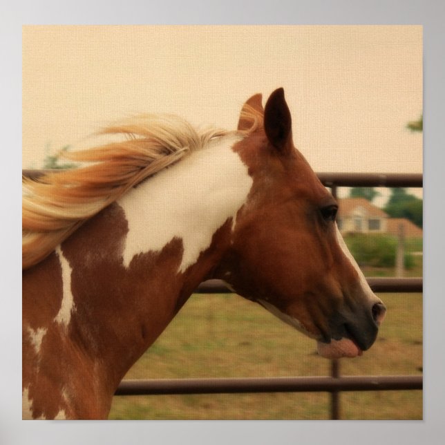 Flashy Poster (Front)