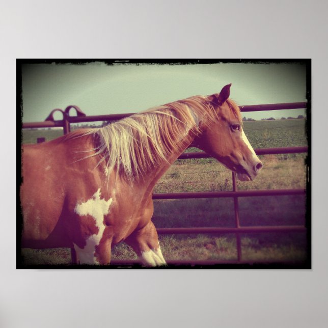 Flashy Poster (Front)