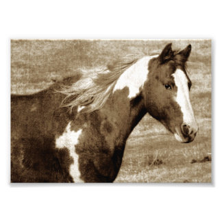 Flashy Tobinano Mare Sepia Photo Print