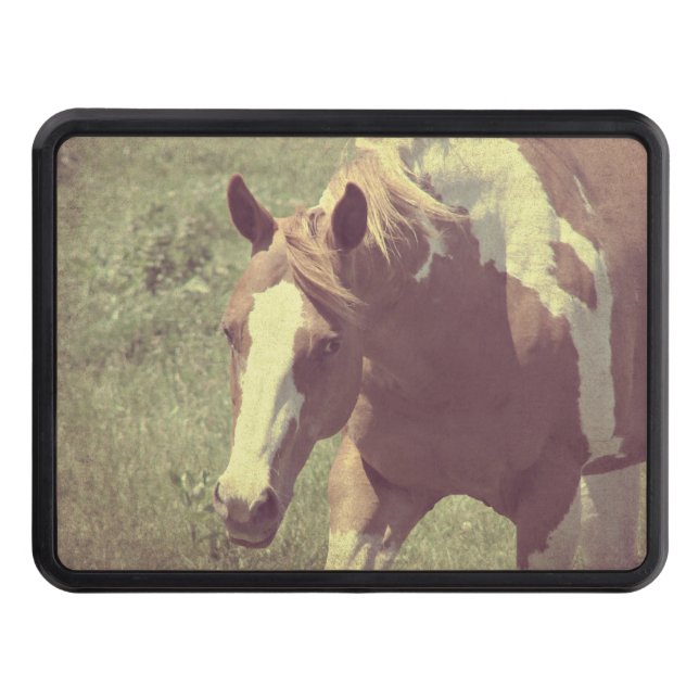 Flashy Tow Hitch Cover (Front)