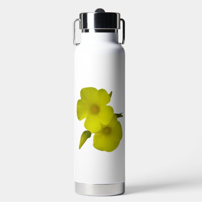 FLASK INSULATED THOR   ART&DESIGN  WATER BOTTLE (Front)