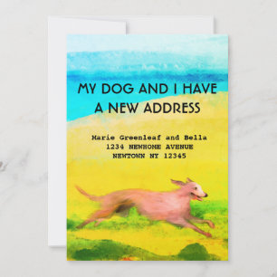 Flat Announcement Card