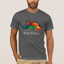 Flat Bird at 40 degrees, fun, colorful
