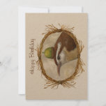 flat birthday card with Carolina wren<br><div class="desc">Flat birthday card with Carolina wren wearing an acorn hat</div>