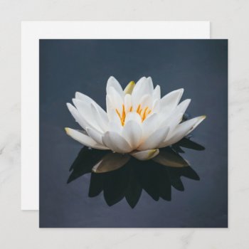 Flat Card :  Lotus by TINYLOTUS at Zazzle