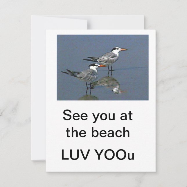 Flat Card See you at the beach jGibney The Museum (Front)