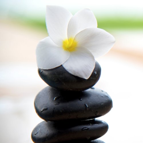 Flat Card Zen Stones Balance Meditation White  Thank You Card