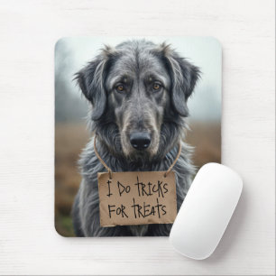 Flat Coat Retirever with Cardboard Sign Mouse Pad